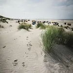 Winkelschiffchen Ii Mit Sauna Juist