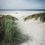 Winkelschiffchen Ii Mit Sauna * Juist