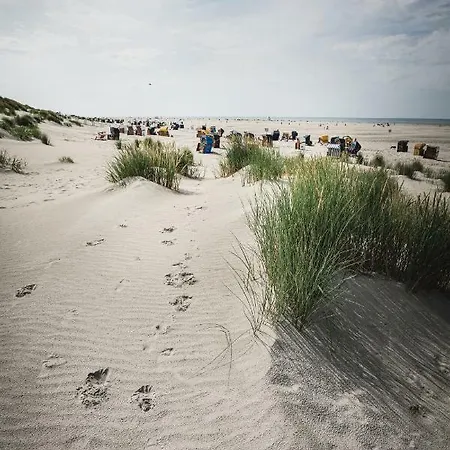 Winkelschiffchen Ii Mit Sauna Juist