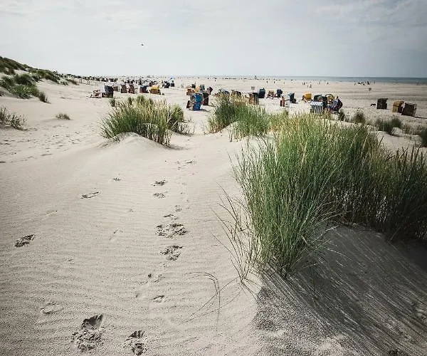 Winkelschiffchen Ii Mit Sauna 유이스트